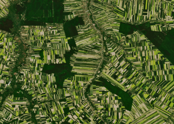  Blossoming rapeseed fields in Lublin, Poland